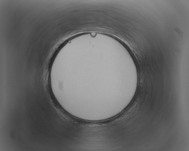 X0000116321507200912291523