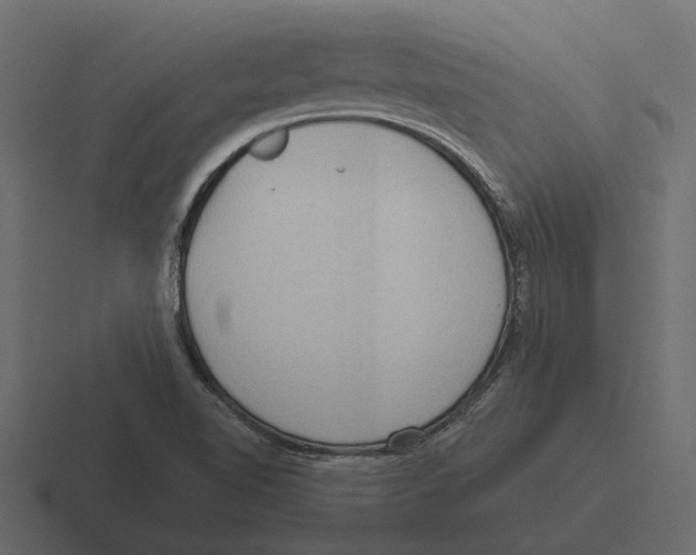 X0000116321510200912291523