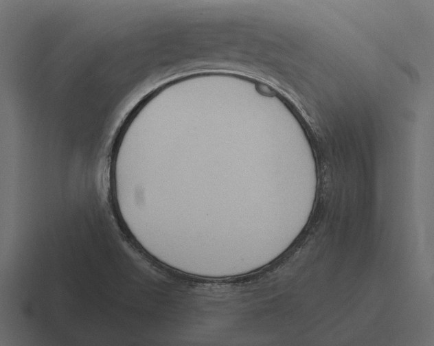 X0000116321511200912291523