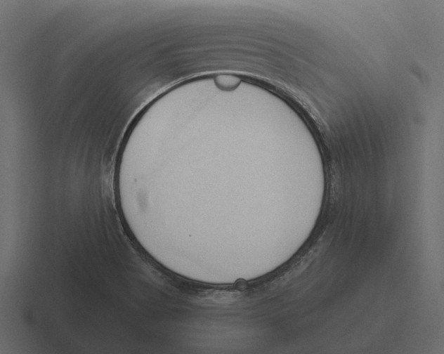 X0000116321513200912291523