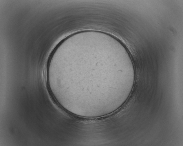 X0000116321515200912291523