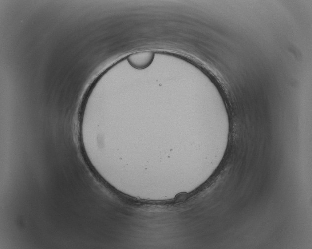 X0000116321517200912291523