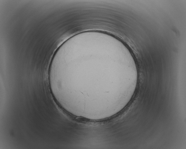 X0000116321521200912291523