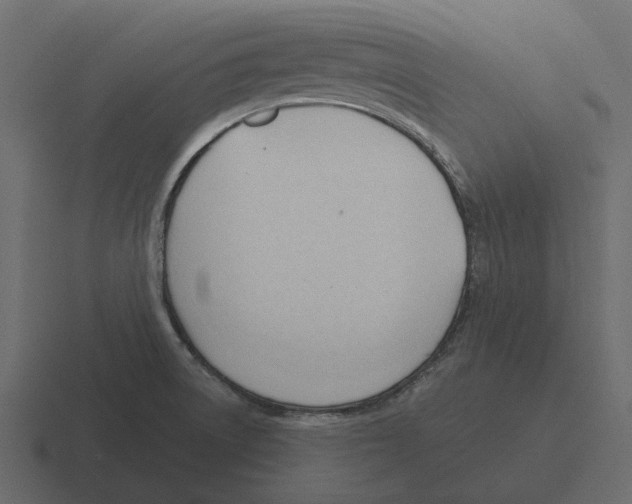 X0000116321522200912291523