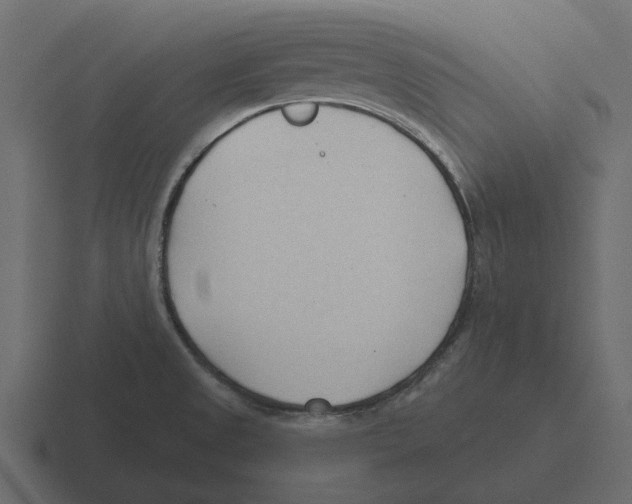 X0000116321525200912291523