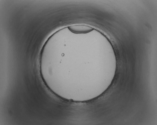 X0000116321526200912291523