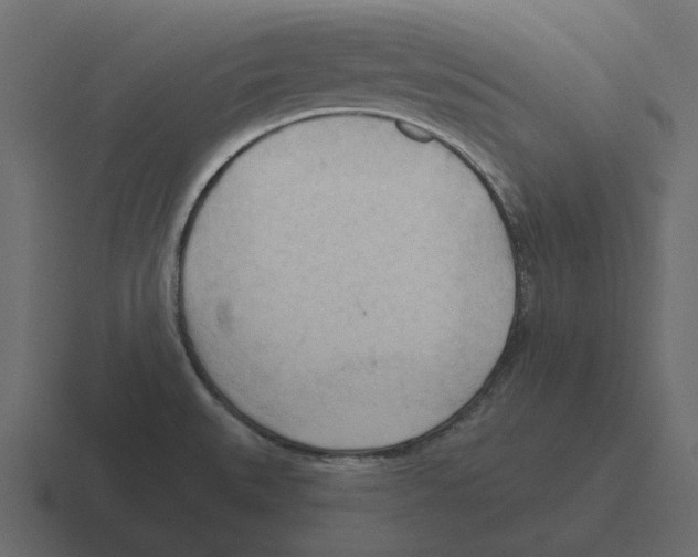 X0000116321527200912291523