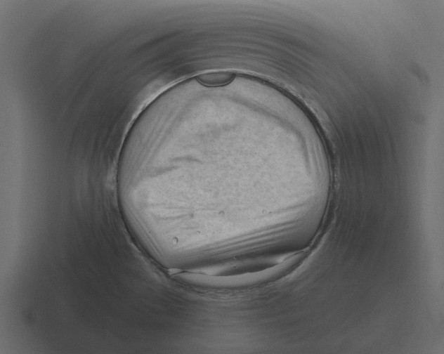 X0000116321529200912291523