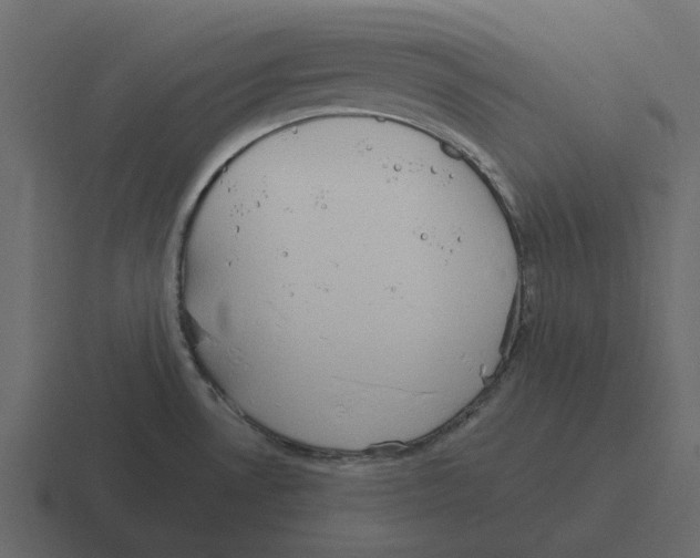 X0000116321530200912291523