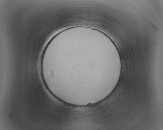 X0000116321531200912291523