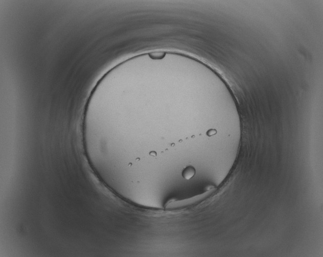 X0000116321534200912291523