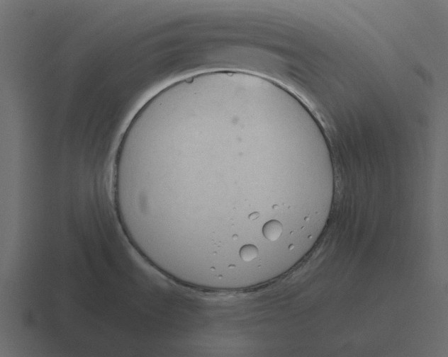 X0000116321535200912291523