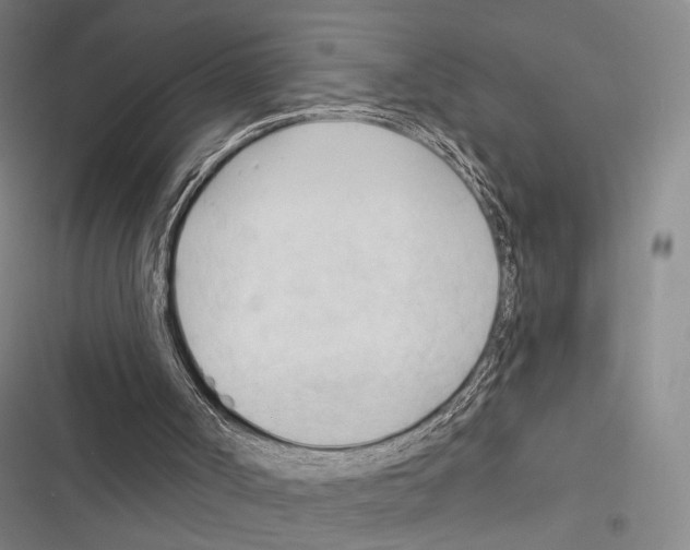 X0000116320002201001131013