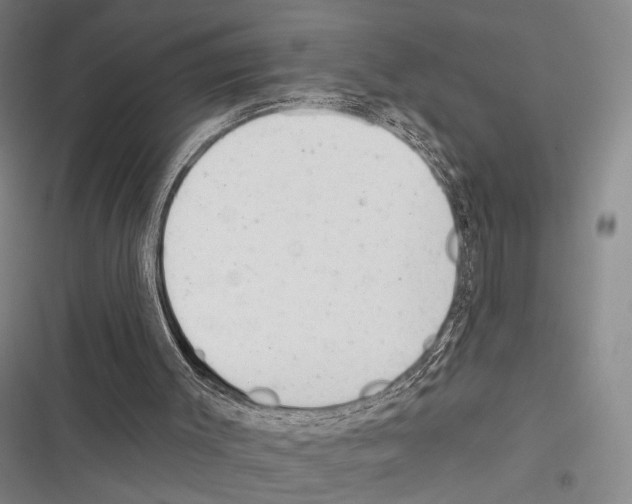 X0000116320003201001131013