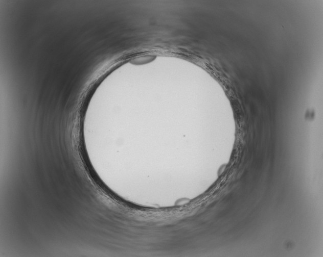 X0000116320005201001131013