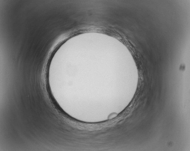 X0000116320006201001131013