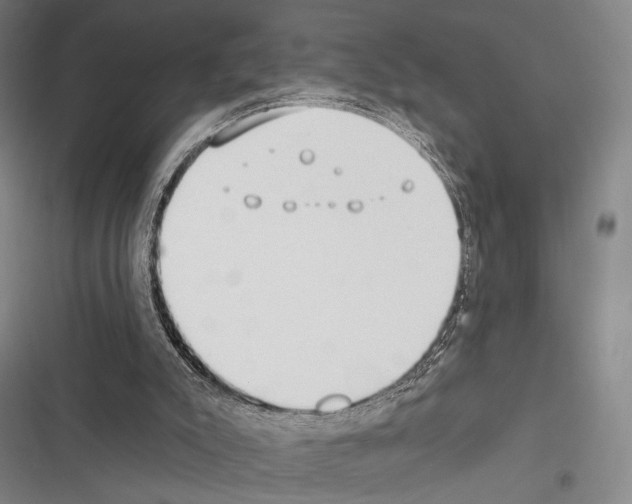 X0000116320007201001131013