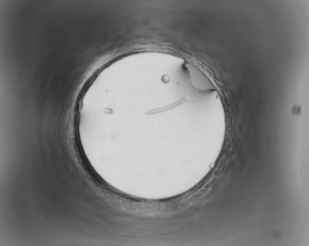 X0000116320008201001131013