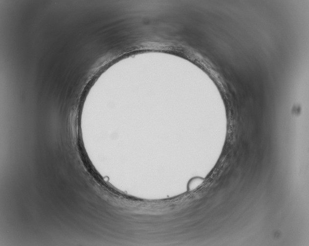 X0000116320011201001131013