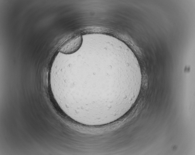 X0000116320014201001131013