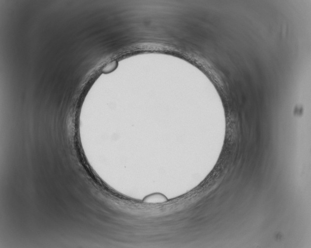 X0000116320015201001131013