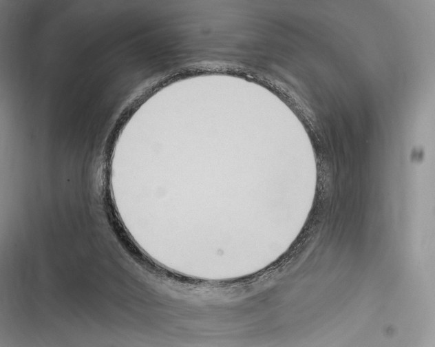 X0000116320016201001131013