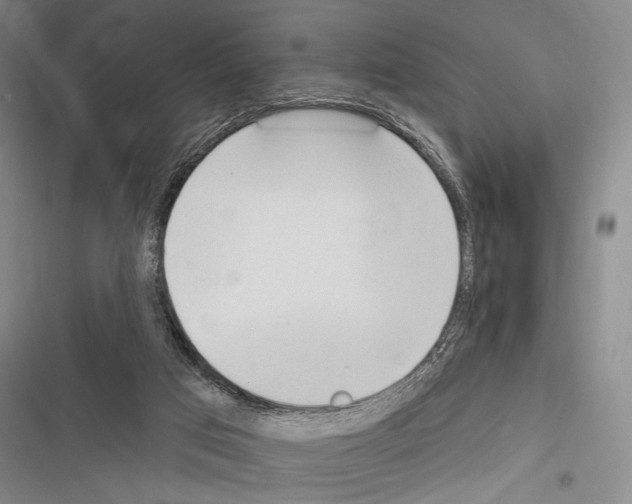 X0000116320017201001131013