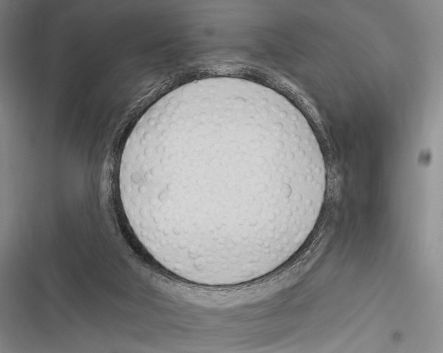 X0000116320018201001131013