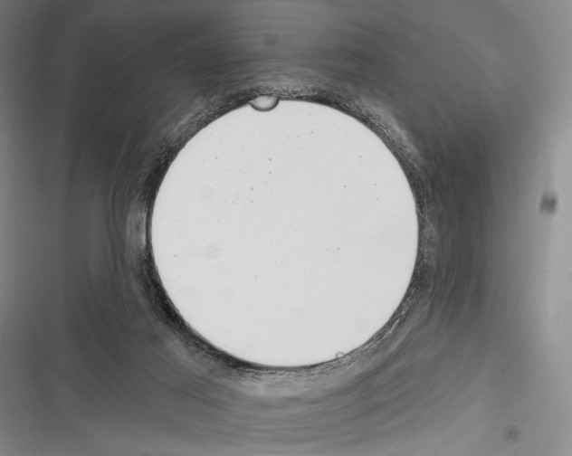 X0000116320021201001131013