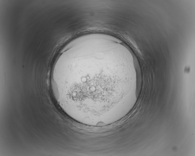 X0000116320023201001131013