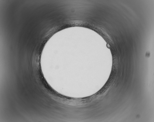 X0000116320024201001131013