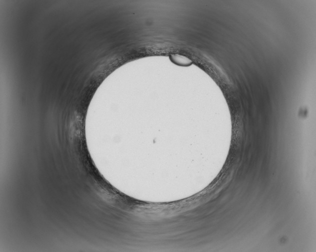 X0000116320025201001131013