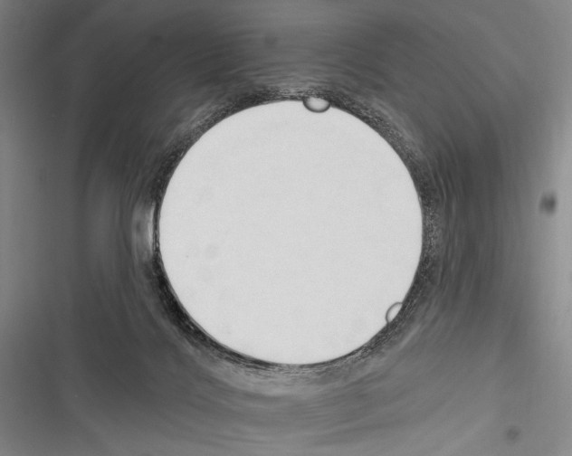 X0000116320028201001131013