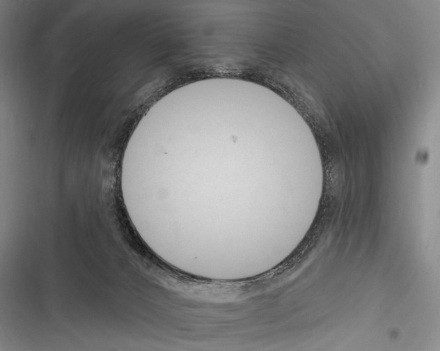 X0000116320032201001131013