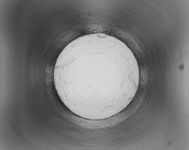 X0000116320034201001131013