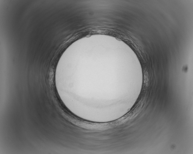 X0000116320036201001131013