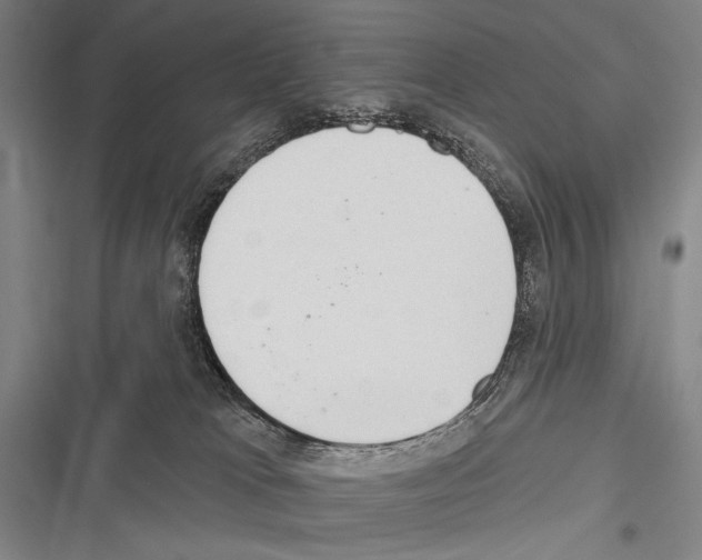 X0000116320037201001131013