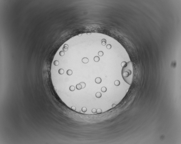 X0000116320038201001131013