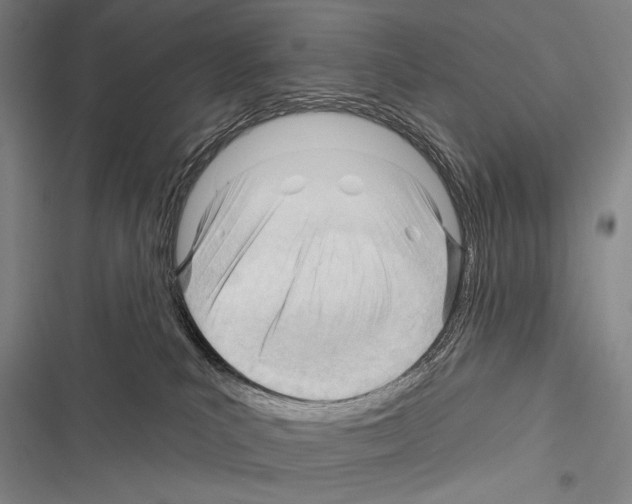 X0000116320039201001131012