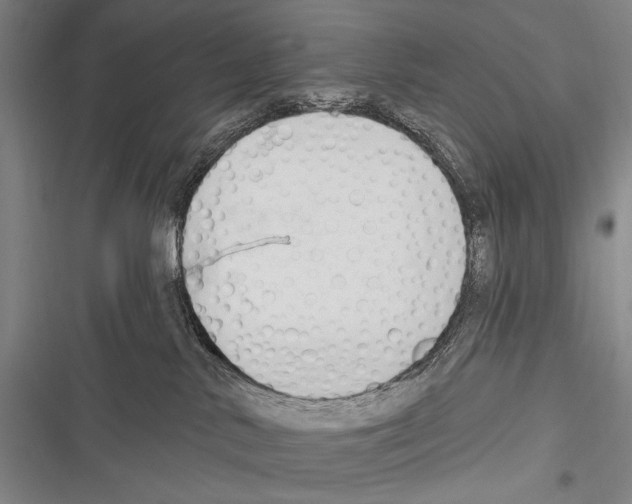 X0000116320042201001131012