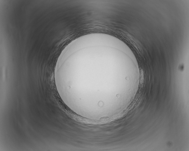 X0000116320043201001131012