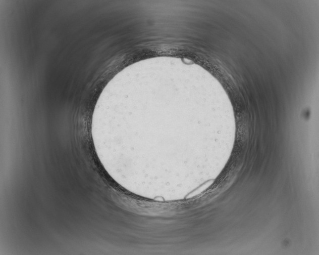 X0000116320044201001131012