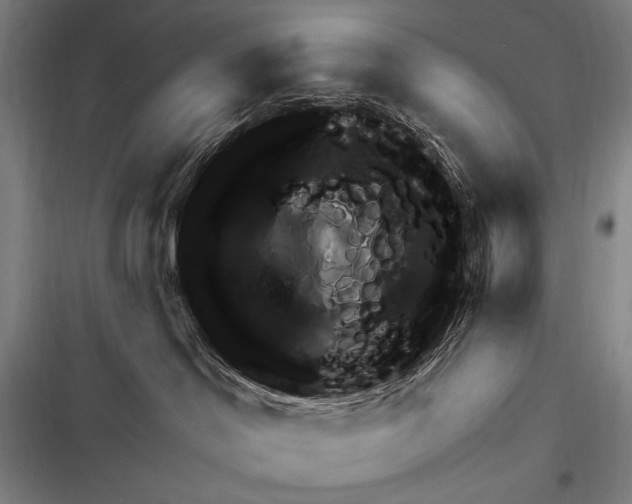 X0000116320046201001131012