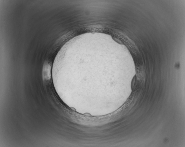 X0000116320047201001131012