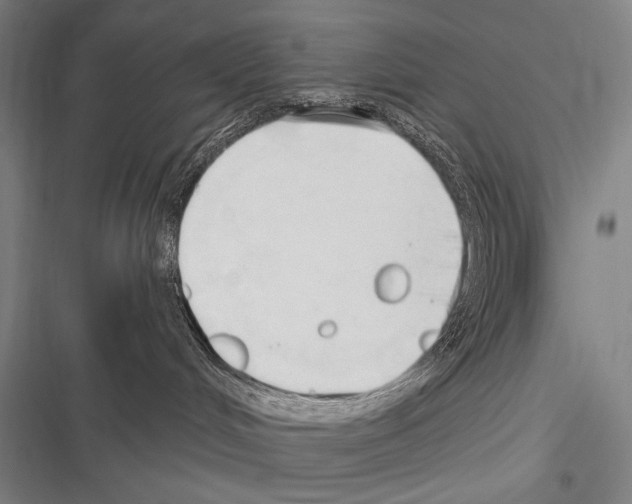 X0000116320048201001131012