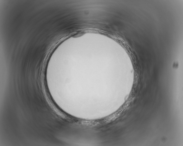 X0000116320049201001131012