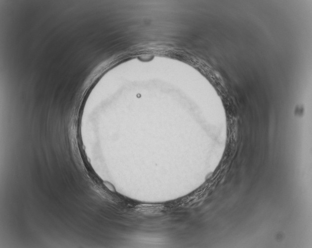 X0000116320051201001131012