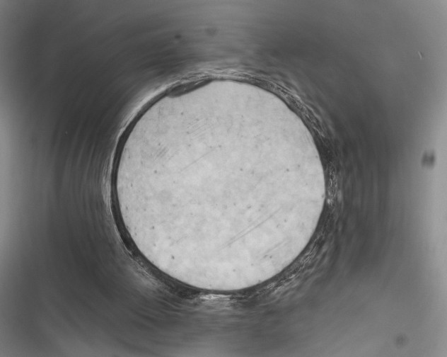 X0000116320052201001131012