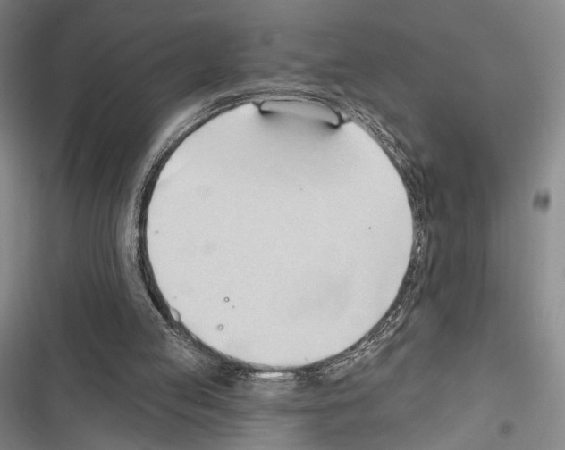 X0000116320053201001131012