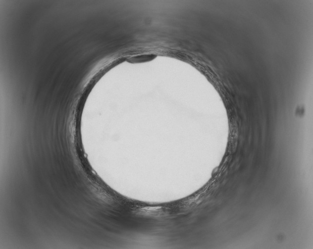 X0000116320054201001131012